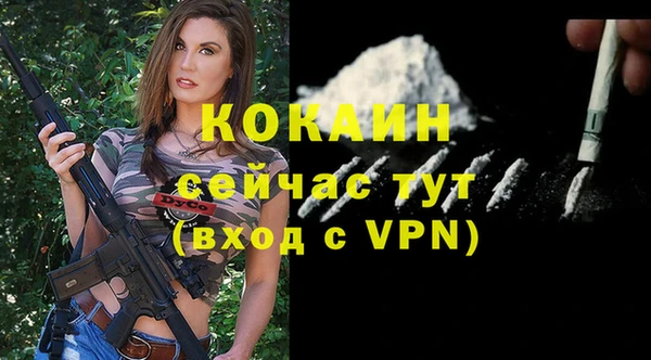 прущие грибы Ачинск