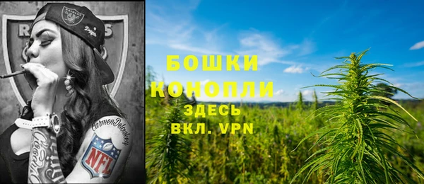 крисы Лабытнанги