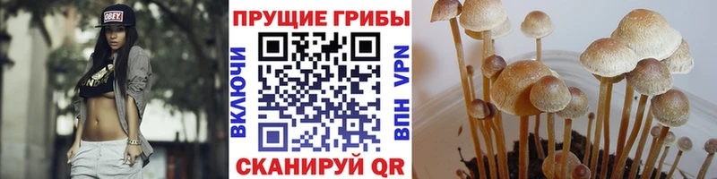 MEGA зеркало купить наркоту Ханты-Мансийск Псилоцибиновые грибы Psilocybine cubensis