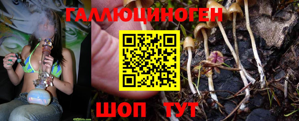 Псилоцибиновые грибы GOLDEN TEACHER Ханты-Мансийск