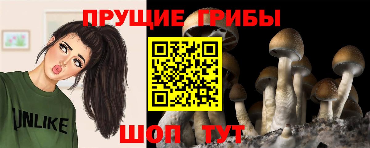 Галлюциногенные грибы ЛСД  дарнет шоп  Галлюциногенные грибы Psilocybine cubensis  Ханты-Мансийск 